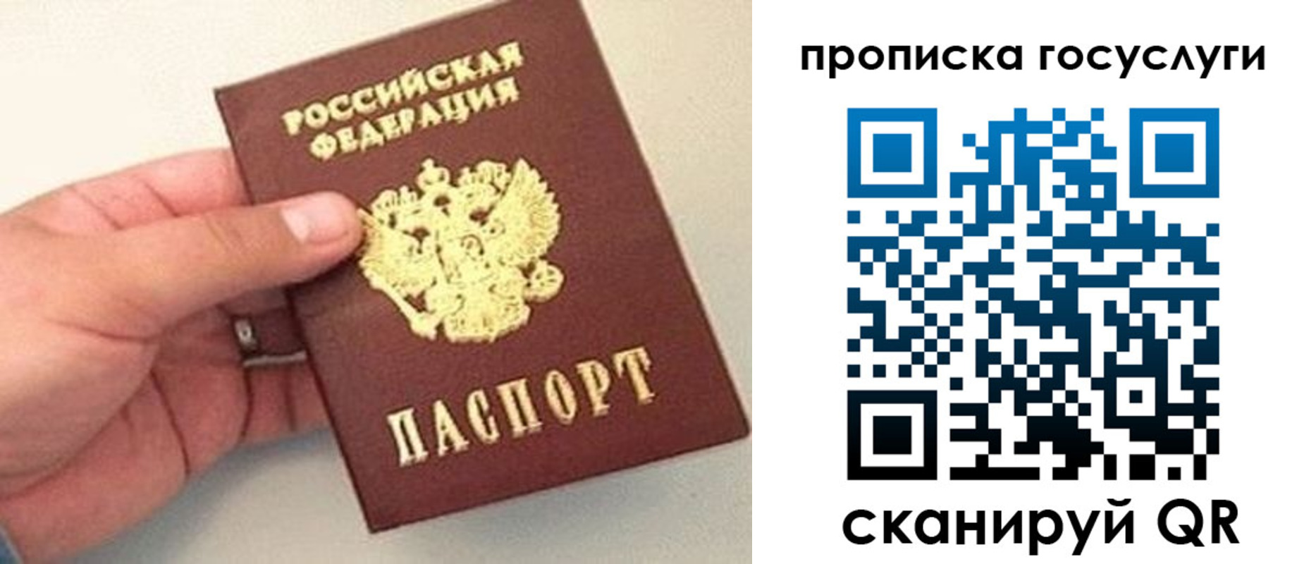 где прописаться в Амурской области